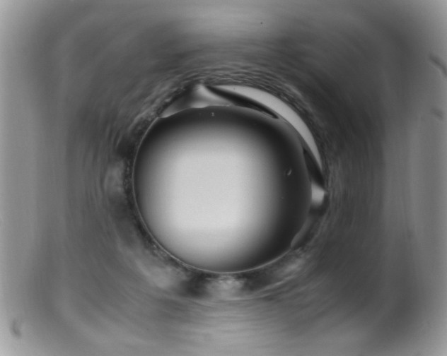 X0000099490217200805151415