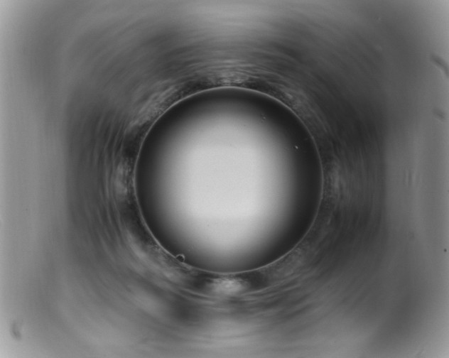 X0000099490218200805151415