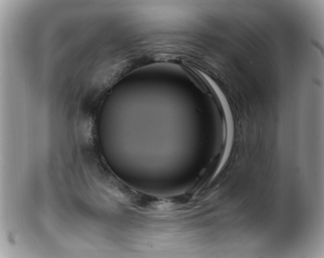 X0000099490219200805151415