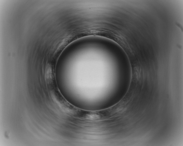 X0000099490220200805151415