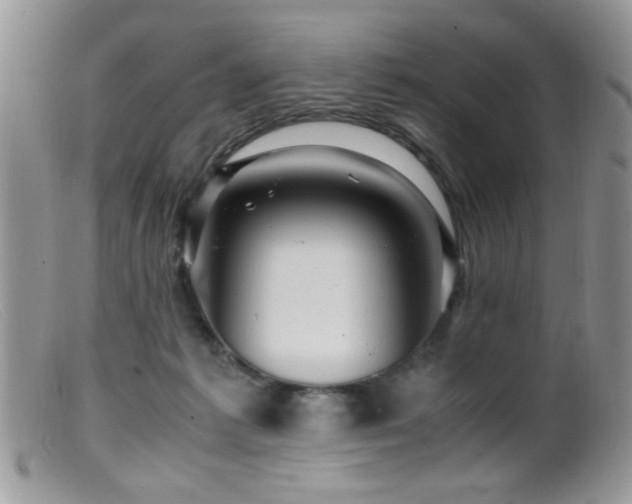 X0000099490221200805151415