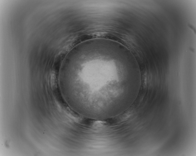 X0000099490222200805151415