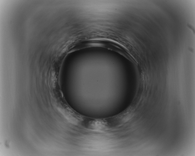 X0000099490223200805151415