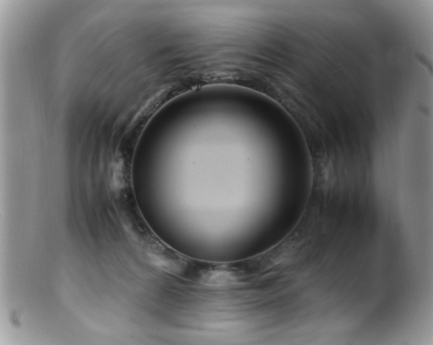 X0000099490224200805151415