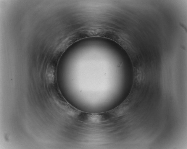 X0000099490226200805151415