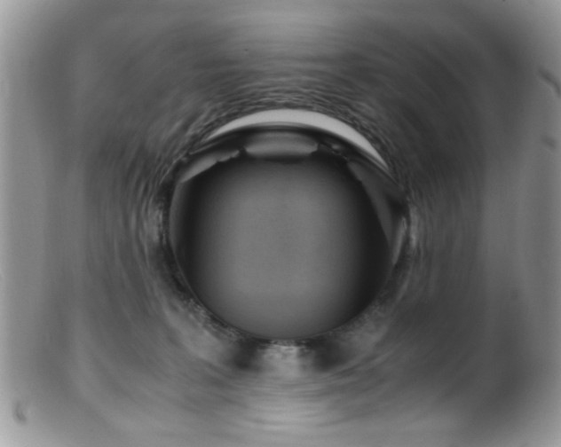 X0000099490227200805151415