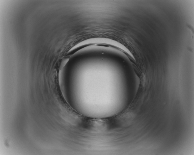 X0000099490229200805151415