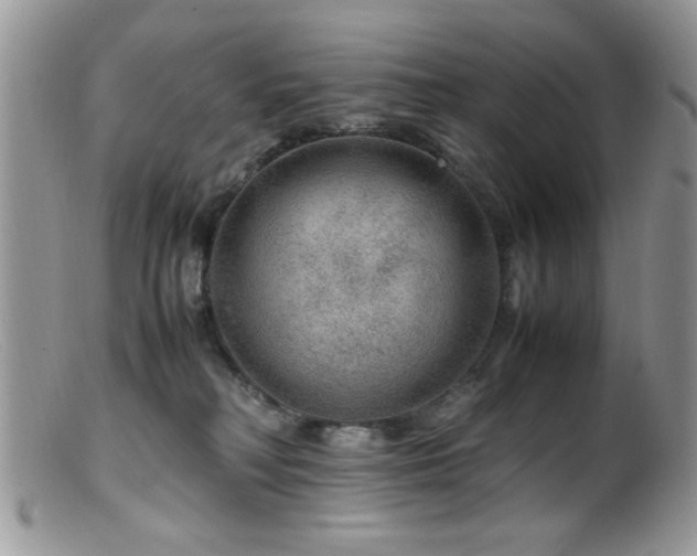 X0000099490230200805151415