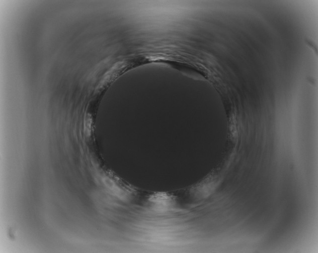 X0000099490231200805151415