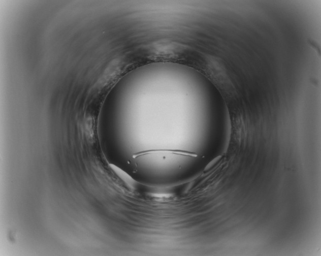 X0000099490232200805151415