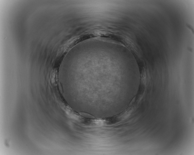 X0000099490233200805151415