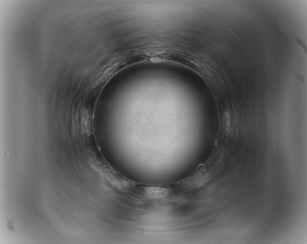 X0000099490234200805151415