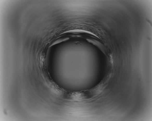 X0000099490235200805151415