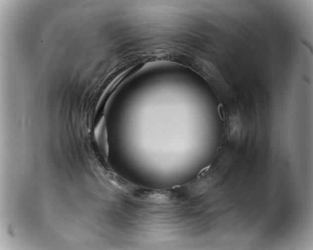 X0000099490236200805151415
