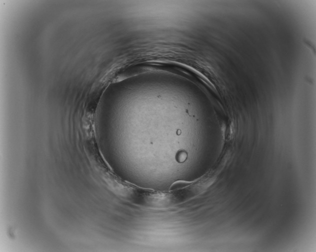 X0000099490237200805151415