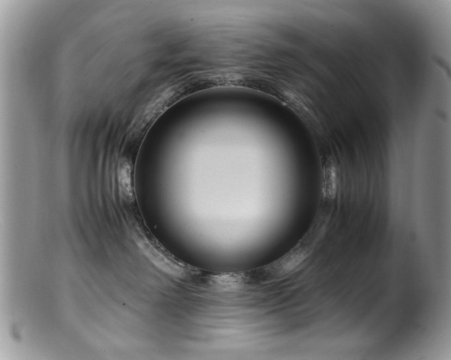 X0000099490238200805151414