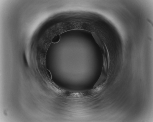 X0000099490239200805151414