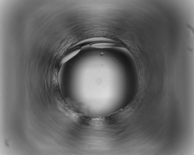 X0000099490240200805151414
