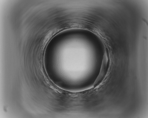 X0000099490241200805151414