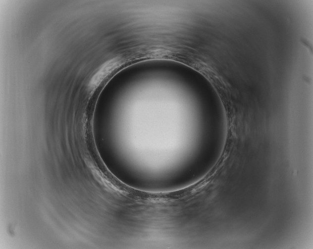 X0000099490242200805151414