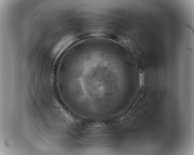 X0000099490243200805151414