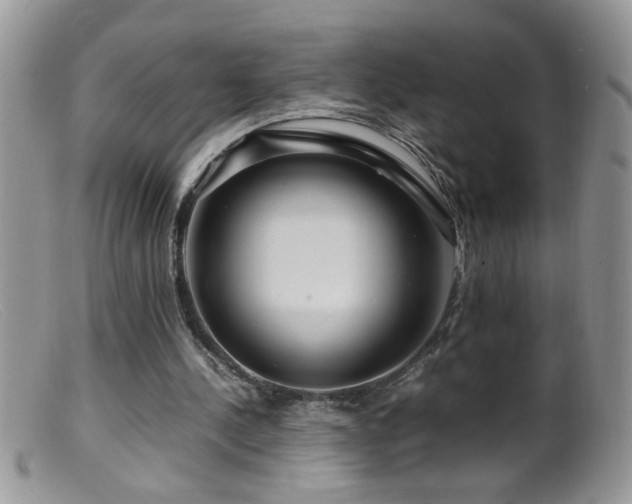 X0000099490244200805151414