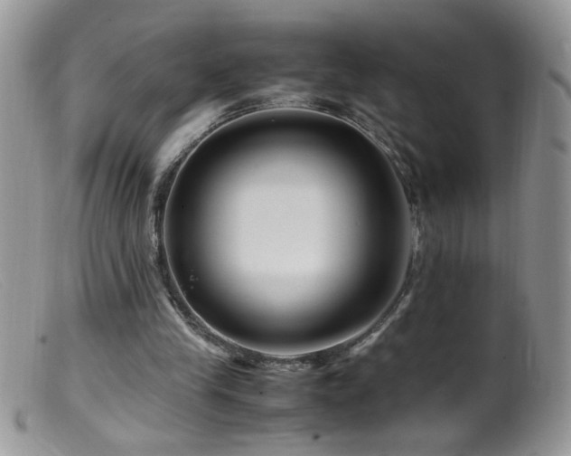 X0000099490245200805151414