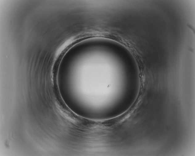 X0000099490246200805151414