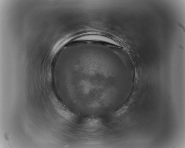 X0000099490247200805151414