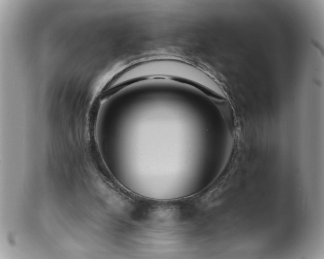 X0000099490248200805151414