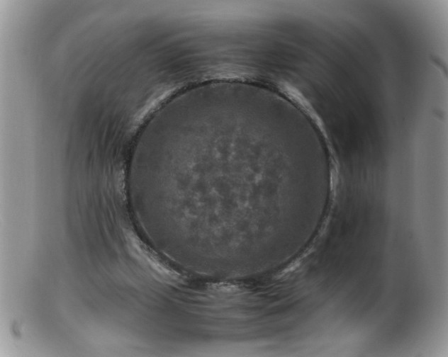 X0000099490249200805151414