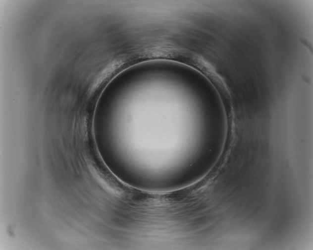 X0000099490250200805151414