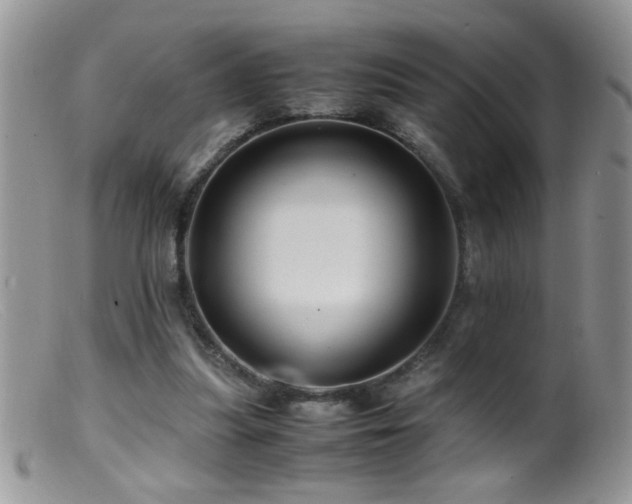 X0000099490251200805151414