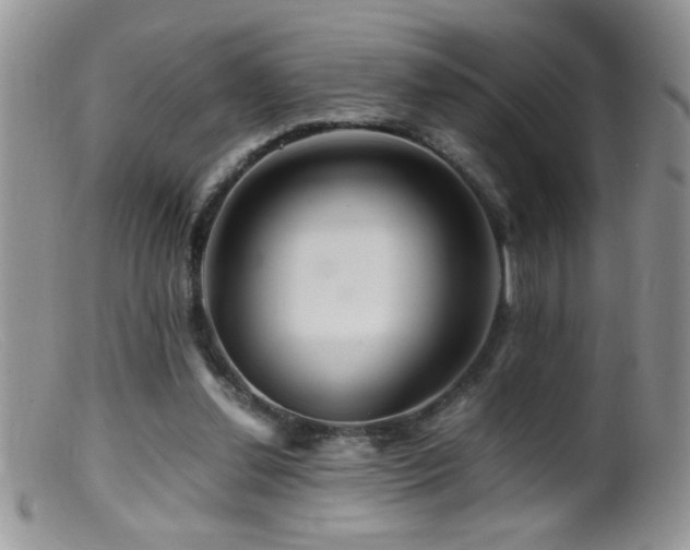 X0000099490252200805151414