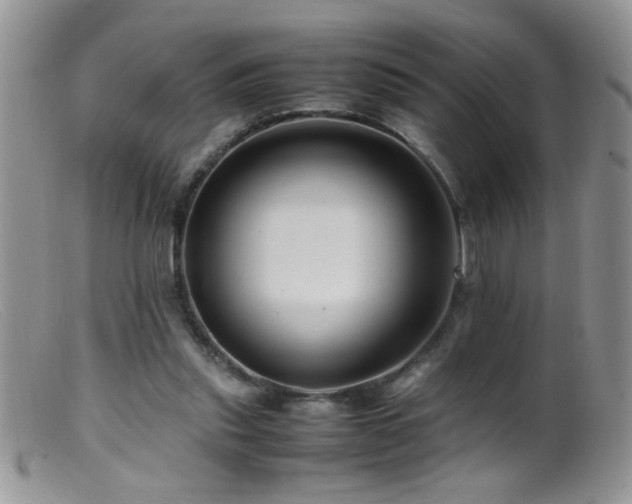X0000099490253200805151414