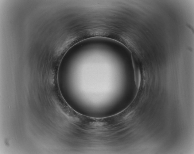 X0000099490255200805151414