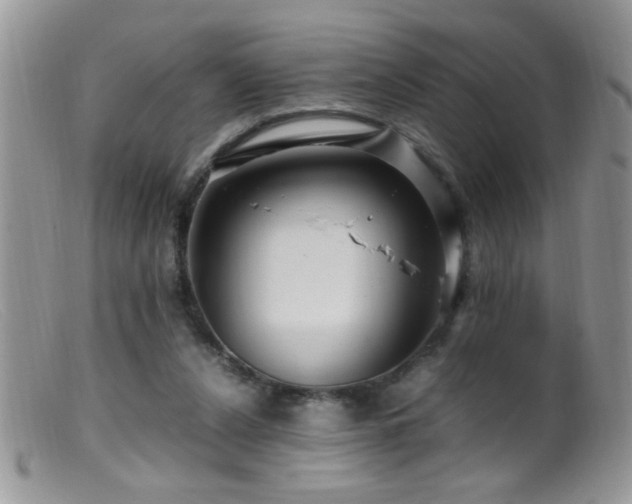X0000099490256200805151414