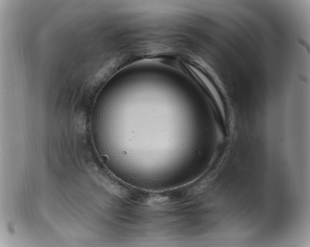 X0000099490257200805151414