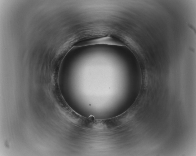 X0000099490258200805151414