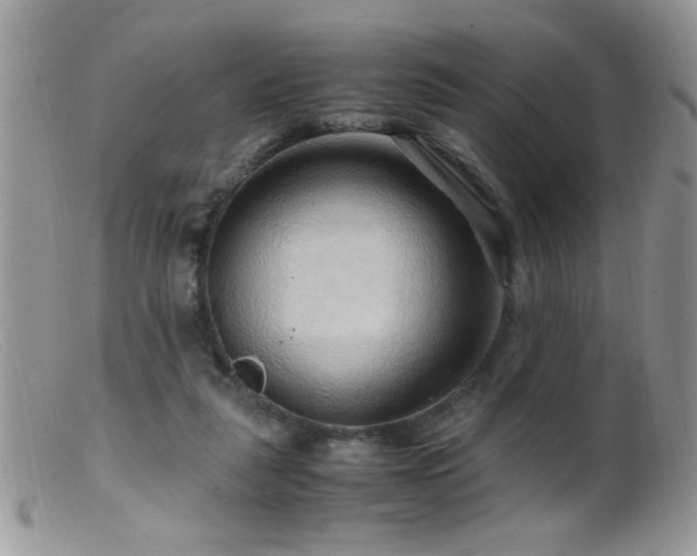 X0000099490259200805151414