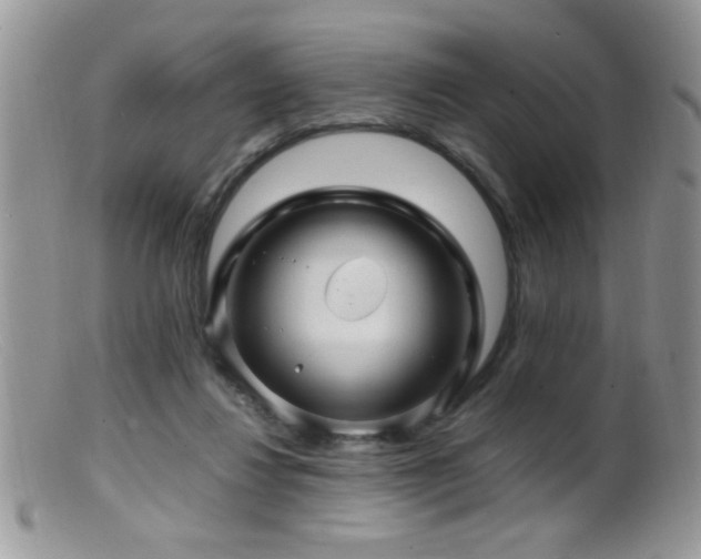 X0000099490260200805151414