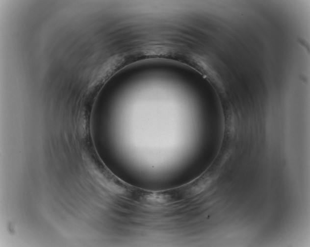 X0000099490261200805151414