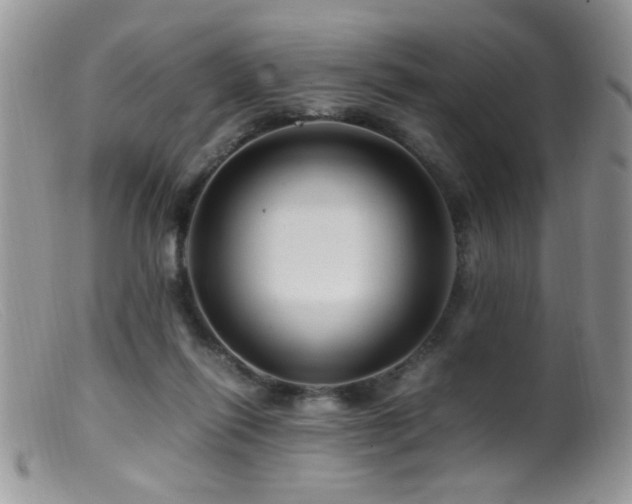 X0000099490262200805151414