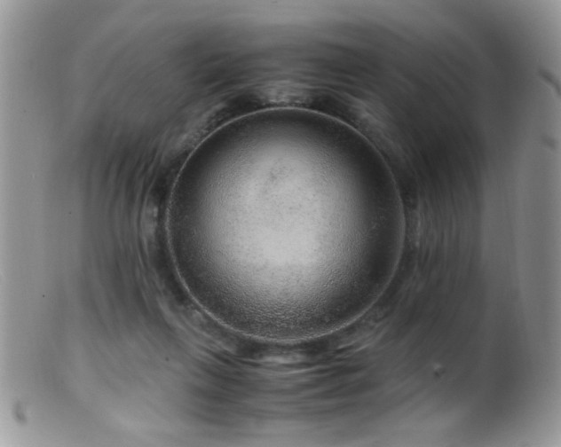 X0000099490263200805151414
