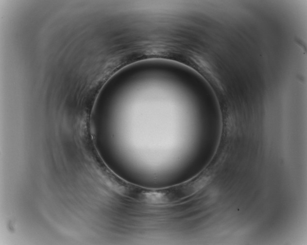 X0000099490265200805151414