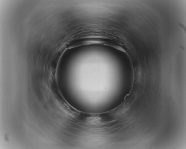 X0000099490266200805151414