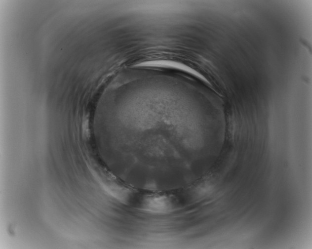 X0000099490267200805151414