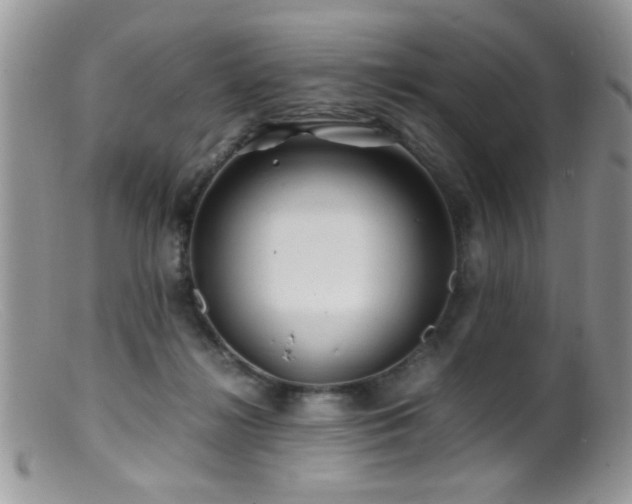 X0000099490268200805151414