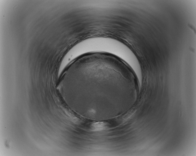 X0000099490269200805151414