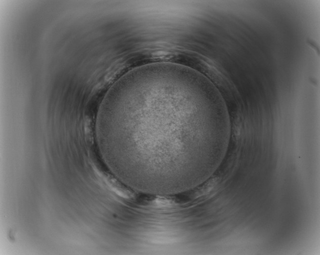 X0000099490270200805151414